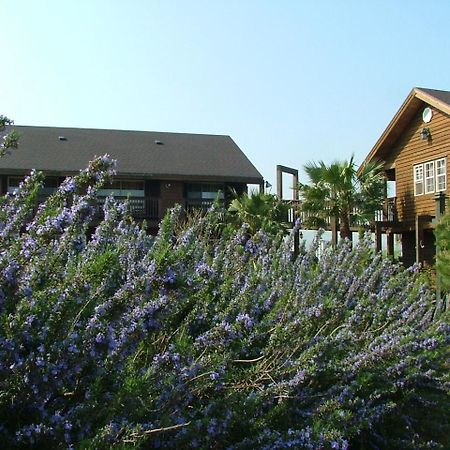 Namu Hyanggi Pension Jeju Exterior photo